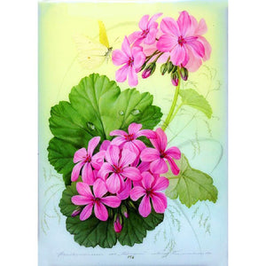 5D Diamond Painting Kit - Flowers2